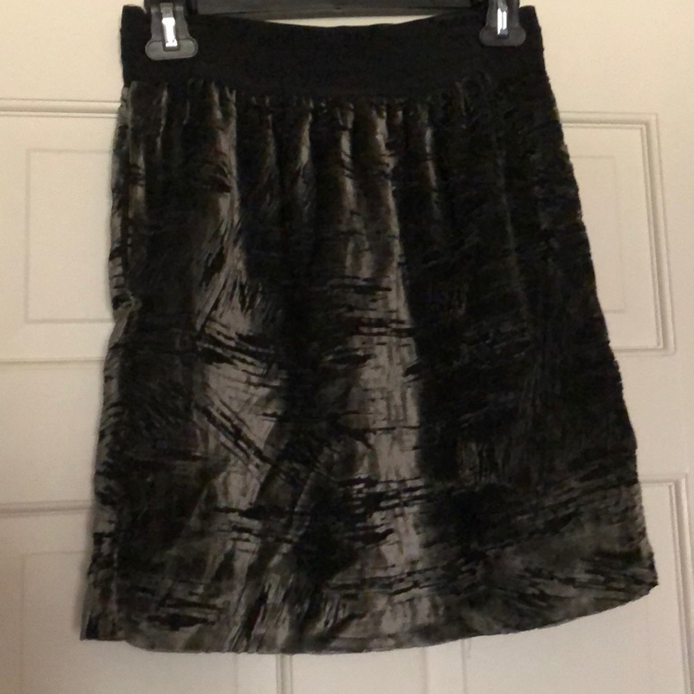 Sparkle and Fade velvet skirt.